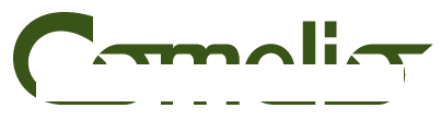 Marco Skulschus